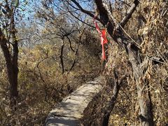 -北京十三陵国家森林公园蟒山景区