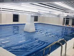 -小小王国亲子游泳(富民中心)