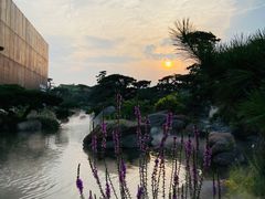 -罗红摄影艺术馆