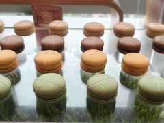 -万豪咖啡厅(JW万豪酒店店)