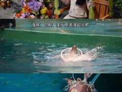 -威海华夏城景区