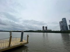 -华侨城湿地公园