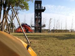 -春花秋色城市公园