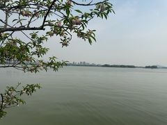 -无锡蠡湖国家湿地公园-蠡园