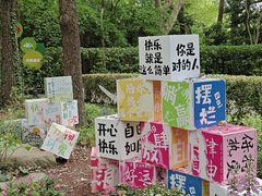 -上海共青森林公园