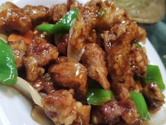 -大鹅岛绿色生态美食园