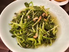 -富春茶社(国庆路店)