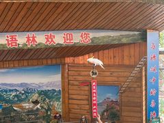 -燕塞湖鸟语林景区