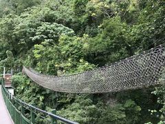 -太鲁阁公园