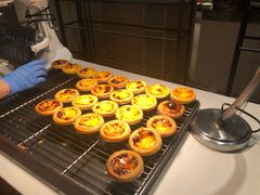 -味餐厅·海鲜·火锅·自助餐