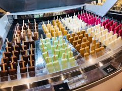 冰淇淋-Patagonia Chocolates(皇后镇店)