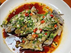 -全乐鱼馆·淳牌有机鱼直营店