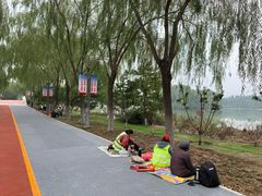 -大兴滨河森林公园