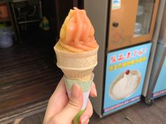 -西双版纳原始森林公园