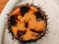 原只活海胆-Mr.Fish鱼鲜生海鲜放题(高德置地冬广场店)