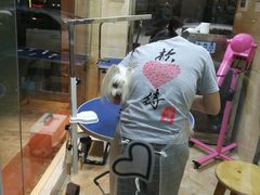 -瑞鹏宠物医院·夜间急症·心超·猫科(祖庙分店)
