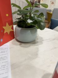 -广州紫馨整形外科医院