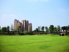 -府河摄影公园