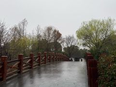 -巡塘古镇