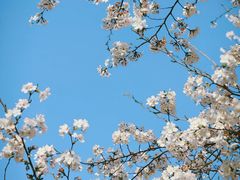 -龙美术馆西岸馆-停车场