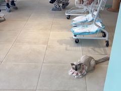 -怪兽屋·羊驼·猫咖·狗咖(俊华广场店)