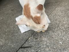 -新疆人(五大街店)