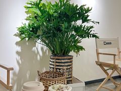 -Dinoo 片场咖啡(酒仙桥店)