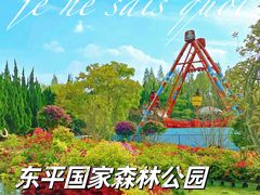 -东平国家森林公园