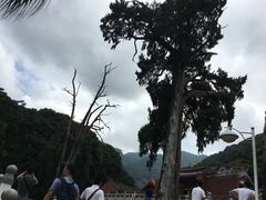 -灵光寺