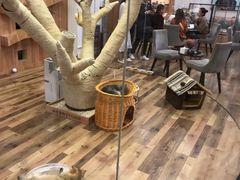 -袖虎·猫馆(体育西路店)