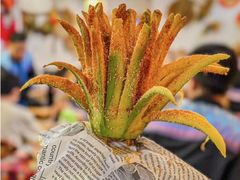 -夜椒瑶·广西大排档(八卦岭店)