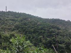-南海湾森林生态园