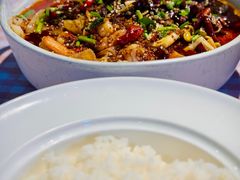 -百好乐宠物友好餐厅(朝外大街店)