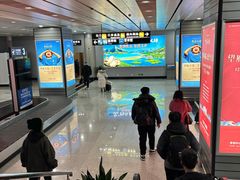 -威海大水泊国际机场