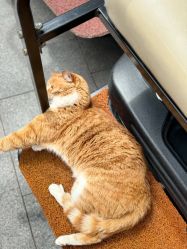 -GN概念烫染沙龙