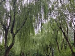 -古塔公园
