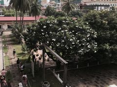 -吐斯廉屠杀博物馆