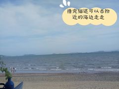 -猫咪博物馆(顶澳仔猫街店)