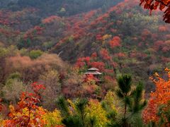 -九如山休闲旅游度假区