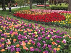-上海鲜花港