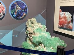 -湖南省地质博物馆