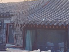 景观位-糖房咖啡(南锣鼓巷店)