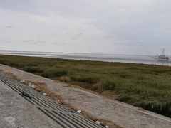 -南汇嘴观海公园