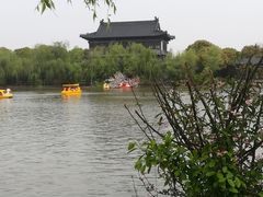 -南汇水蜜桃采摘(大团店)