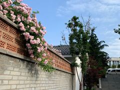 -凤翔温泉·丰泽园餐饮部