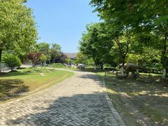 -上海海湾国家森林公园