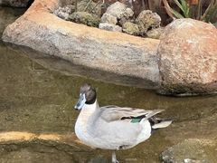 -海南热带野生动植物园
