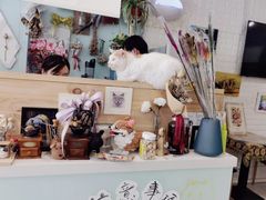 -平行世界·猫咖(首经贸店)