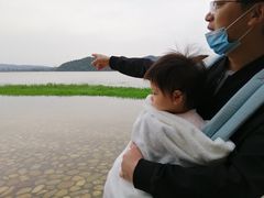 -东湖落雁景区