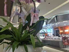 -福田卓悦INTOWN购物中心